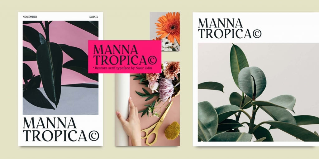 Restora Font Family